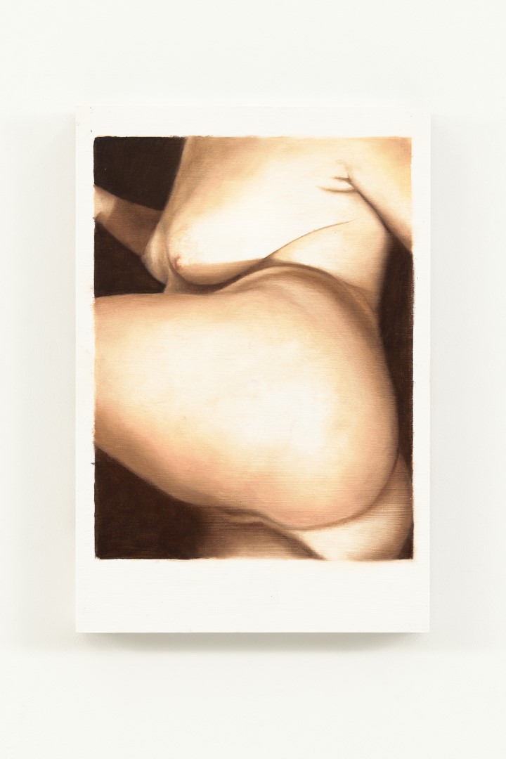 Polaroid (2025), 29 x 19.5 cm, oil on paper on panel (collection Museum MORE)